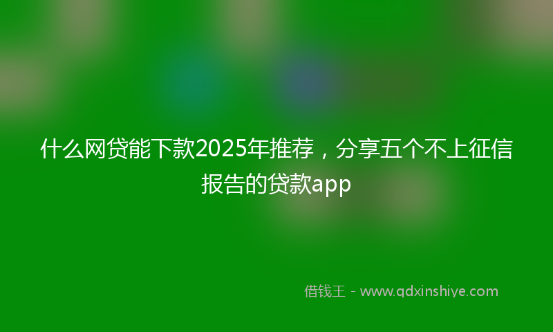什么网贷能下款2025年推荐，分享五个不上征信报告的贷款app