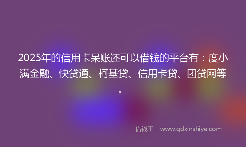 2025年的信用卡呆账还可以借钱的平台有:度小满金融、快贷通、柯基贷、信用卡贷、团贷网等。