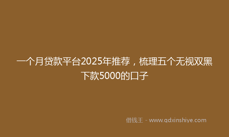 一个月贷款平台2025年推荐，梳理五个无视双黑下款5000的口子