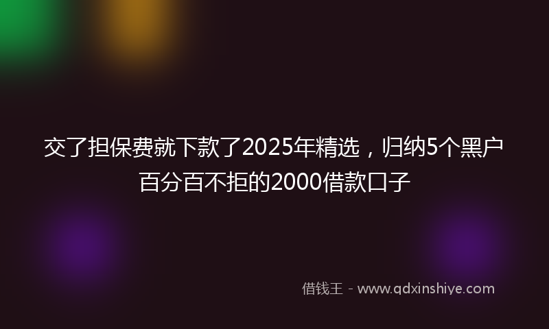 交了担保费就下款了2025年精选，归纳5个黑户百分百不拒的2000借款口子