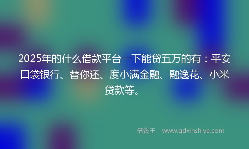 2025年的什么借款平台一下能贷五万的有：平安口袋银行、替你还、度小满金融、融逸花、小米贷款等。