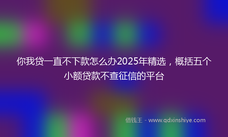 你我贷一直不下款怎么办2025年精选，概括五个小额贷款不查征信的平台