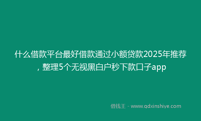 什么借款平台最好借款通过小额贷款2025年推荐，整理5个无视黑白户秒下款口子app