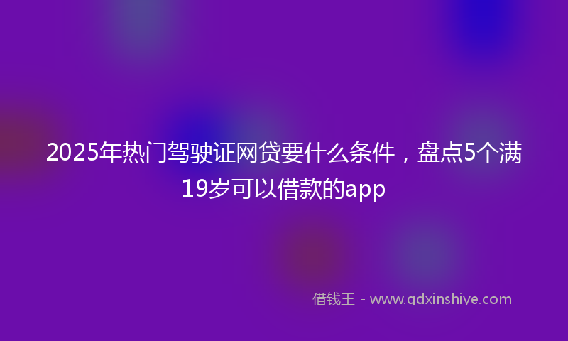 2025年热门驾驶证网贷要什么条件，盘点5个满19岁可以借款的app