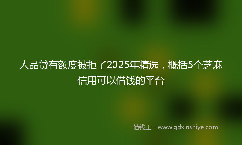 人品贷有额度被拒了2025年精选，概括5个芝麻信用可以借钱的平台
