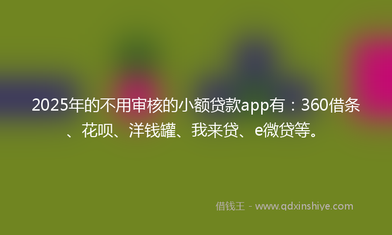 2025年的不用审核的小额贷款app有：360借条、花呗、洋钱罐、我来贷、e微贷等。