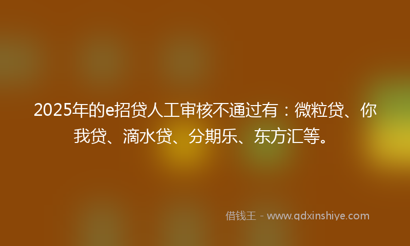 2025年的e招贷人工审核不通过有：微粒贷、你我贷、滴水贷、分期乐、东方汇等。