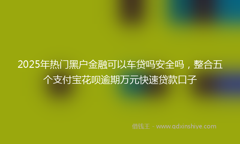 2025年热门黑户金融可以车贷吗安全吗，整合五个支付宝花呗逾期万元快速贷款口子