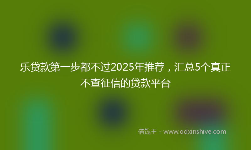 乐贷款第一步都不过2025年推荐，汇总5个真正不查征信的贷款平台