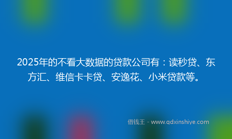 2025年的不看大数据的贷款公司有：读秒贷、东方汇、维信卡卡贷、安逸花、小米贷款等。