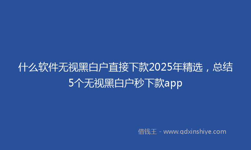 什么软件无视黑白户直接下款2025年精选，总结5个无视黑白户秒下款app