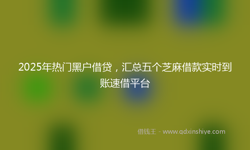 2025年热门黑户借贷，汇总五个芝麻借款实时到账速借平台