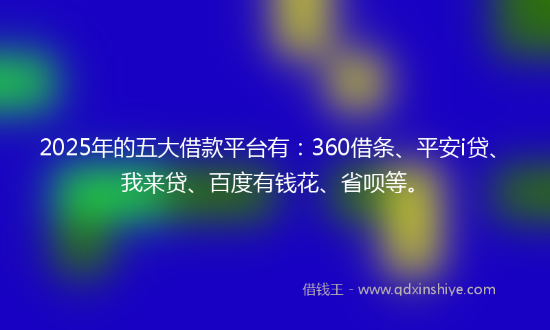 2025年的五大借款平台有：360借条、平安i贷、我来贷、百度有钱花、省呗等。