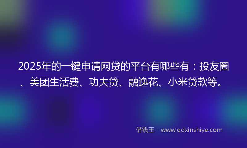 2025年的一键申请网贷的平台有哪些有：投友圈、美团生活费、功夫贷、融逸花、小米贷款等。