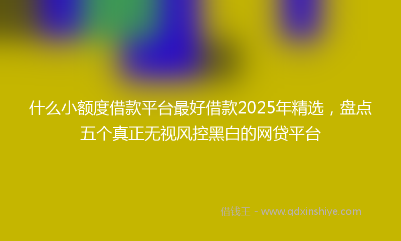 什么小额度借款平台最好借款2025年精选，盘点五个真正无视风控黑白的网贷平台