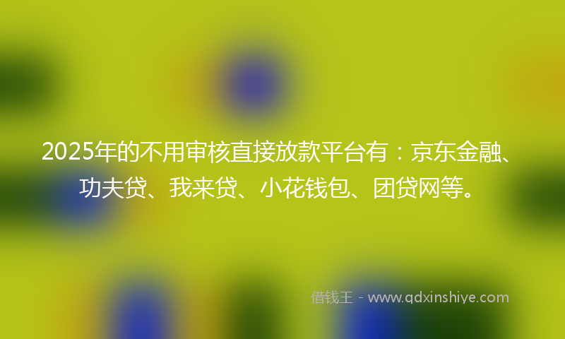 2025年的不用审核直接放款平台有：京东金融、功夫贷、我来贷、小花钱包、团贷网等。