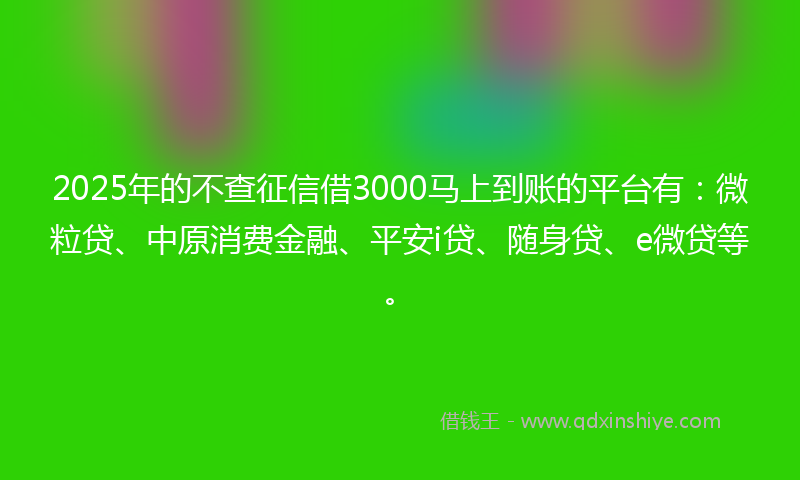 2025年的不查征信借3000马上到账的平台有：微粒贷、中原消费金融、平安i贷、随身贷、e微贷等。