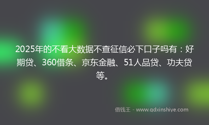 2025年的不看大数据不查征信必下口子吗有：好期贷、360借条、京东金融、51人品贷、功夫贷等。