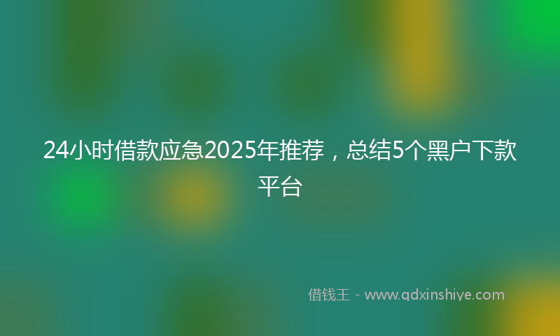 24小时借款应急2025年推荐，总结5个黑户下款平台