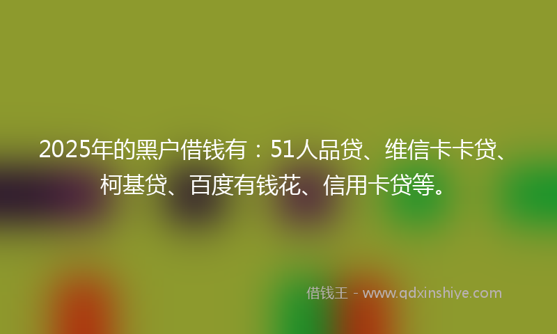 2025年的黑户借钱有：51人品贷、维信卡卡贷、柯基贷、百度有钱花、信用卡贷等。