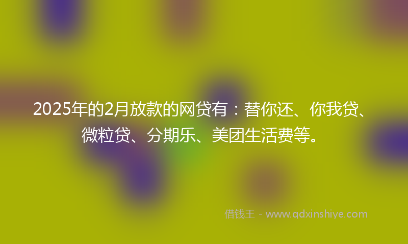 2025年的2月放款的网贷有：替你还、你我贷、微粒贷、分期乐、美团生活费等。