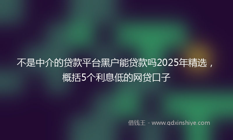 不是中介的贷款平台黑户能贷款吗2025年精选，概括5个利息低的网贷口子