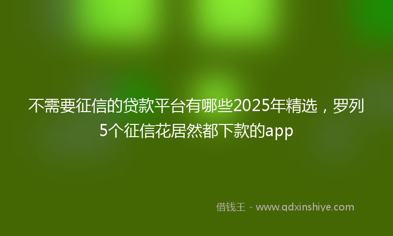 不需要征信的贷款平台有哪些2025年精选，罗列5个征信花居然都下款的app