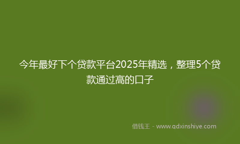 今年最好下个贷款平台2025年精选，整理5个贷款通过高的口子