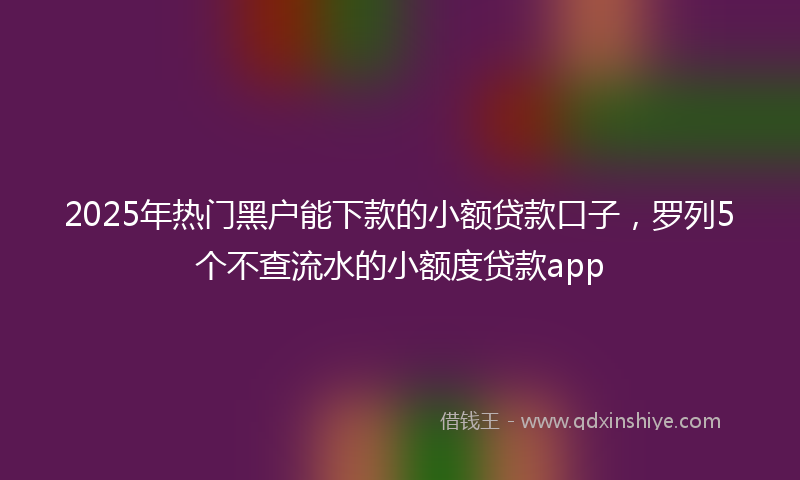 2025年热门黑户能下款的小额贷款口子，罗列5个不查流水的小额度贷款app