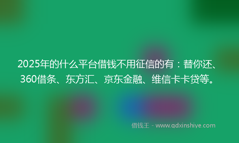 2025年的什么平台借钱不用征信的有：替你还、360借条、东方汇、京东金融、维信卡卡贷等。