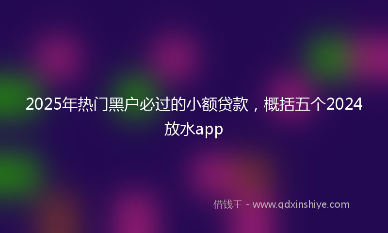 2025年热门黑户必过的小额贷款，概括五个2024放水app