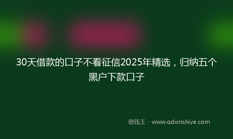 30天借款的口子不看征信2025年精选，归纳五个黑户下款口子