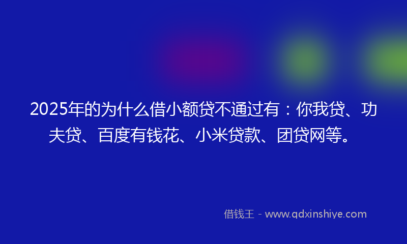 2025年的为什么借小额贷不通过有：你我贷、功夫贷、百度有钱花、小米贷款、团贷网等。
