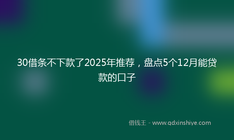 30借条不下款了2025年推荐，盘点5个12月能贷款的口子