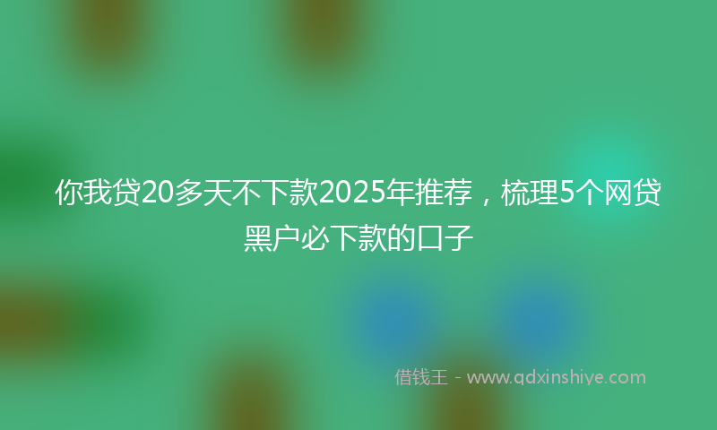 你我贷20多天不下款2025年推荐，梳理5个网贷黑户必下款的口子