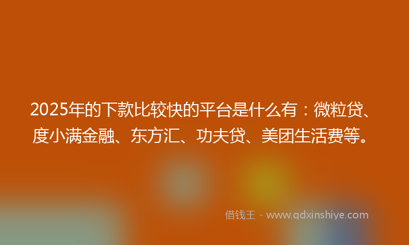 2025年的下款比较快的平台是什么有：微粒贷、度小满金融、东方汇、功夫贷、美团生活费等。