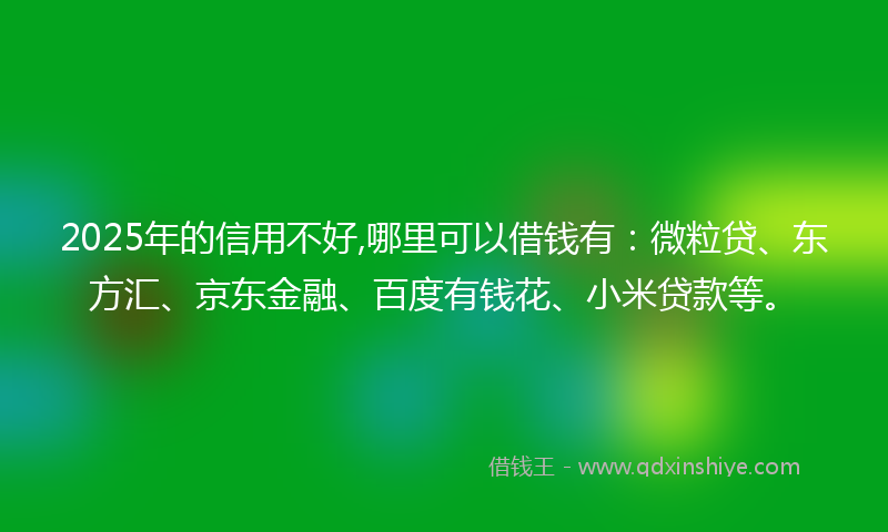 2025年的信用不好,哪里可以借钱有：微粒贷、东方汇、京东金融、百度有钱花、小米贷款等。