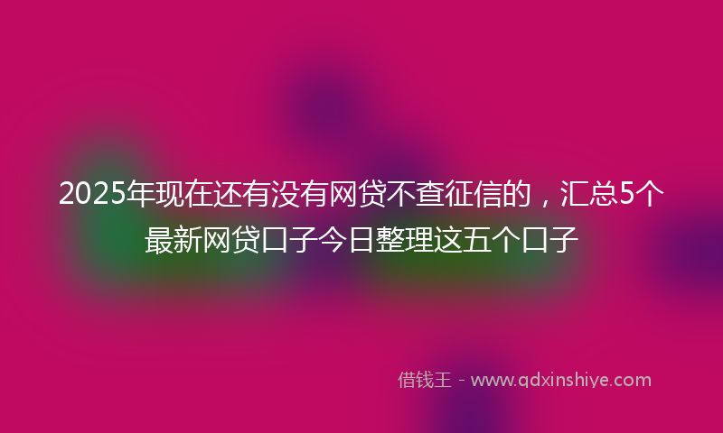 2025年现在还有没有网贷不查征信的，汇总5个最新网贷口子今日整理这五个口子