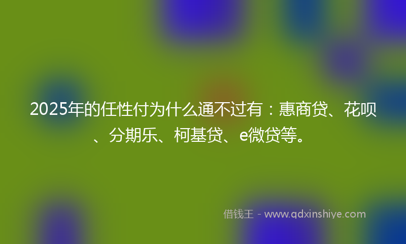 2025年的任性付为什么通不过有：惠商贷、花呗、分期乐、柯基贷、e微贷等。