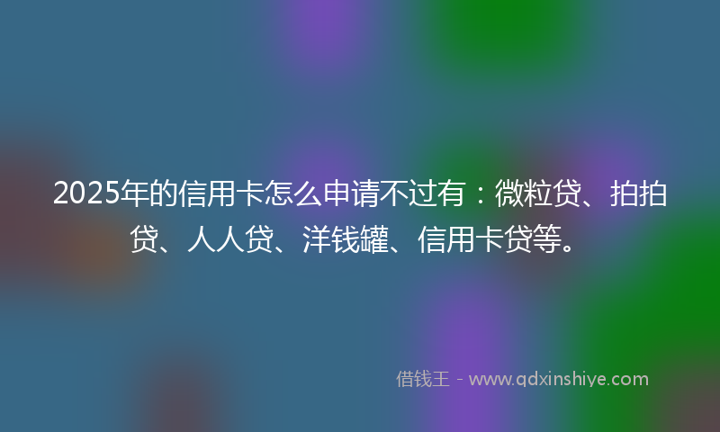 2025年的信用卡怎么申请不过有:微粒贷、拍拍贷、人人贷、洋钱罐、信用卡贷等。