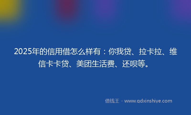 2025年的信用借怎么样有：你我贷、拉卡拉、维信卡卡贷、美团生活费、还呗等。