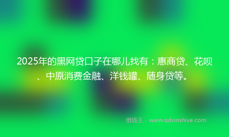 2025年的黑网贷口子在哪儿找有：惠商贷、花呗、中原消费金融、洋钱罐、随身贷等。