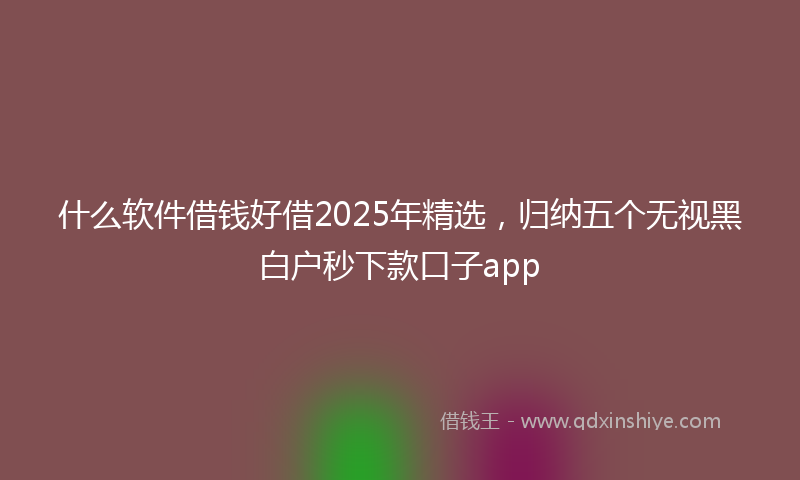 什么软件借钱好借2025年精选，归纳五个无视黑白户秒下款口子app