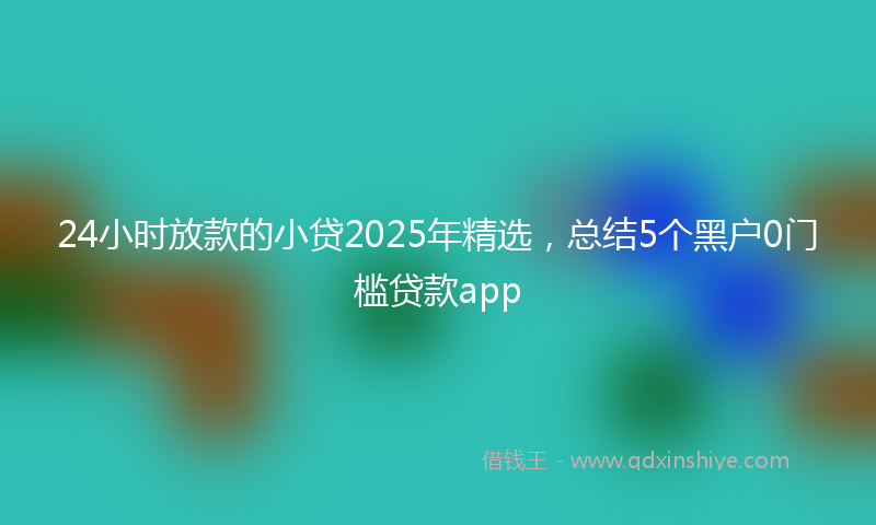 24小时放款的小贷2025年精选，总结5个黑户0门槛贷款app
