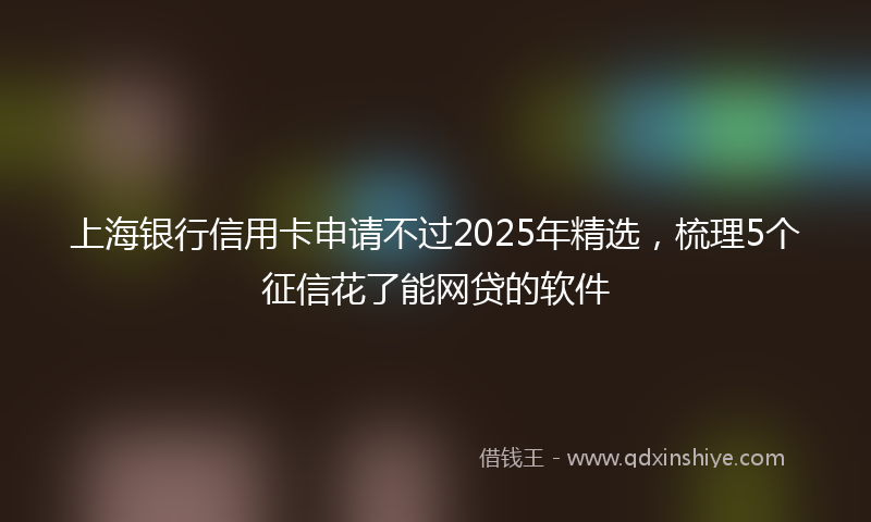 上海银行信用卡申请不过2025年精选，梳理5个征信花了能网贷的软件