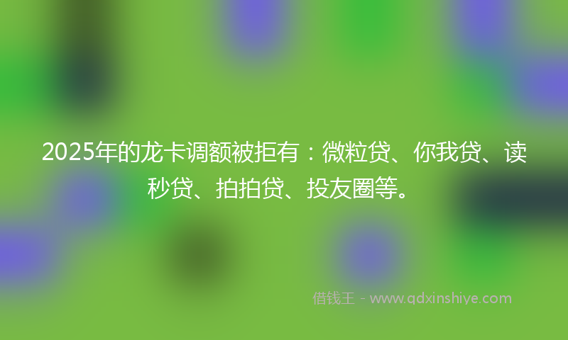 2025年的龙卡调额被拒有：微粒贷、你我贷、读秒贷、拍拍贷、投友圈等。