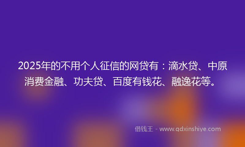 2025年的不用个人征信的网贷有：滴水贷、中原消费金融、功夫贷、百度有钱花、融逸花等。