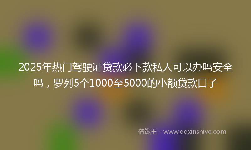 2025年热门驾驶证贷款必下款私人可以办吗安全吗，罗列5个1000至5000的小额贷款口子