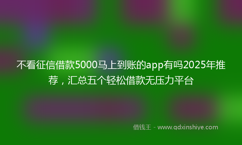 不看征信借款5000马上到账的app有吗2025年推荐，汇总五个轻松借款无压力平台