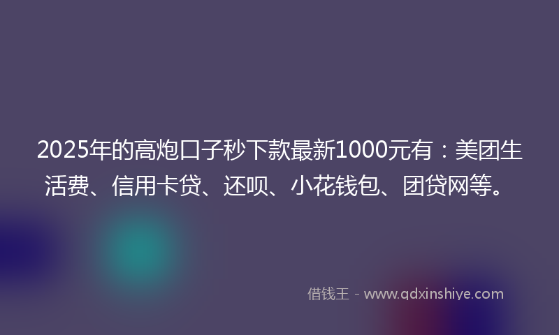 2025年的高炮口子秒下款最新1000元有：美团生活费、信用卡贷、还呗、小花钱包、团贷网等。